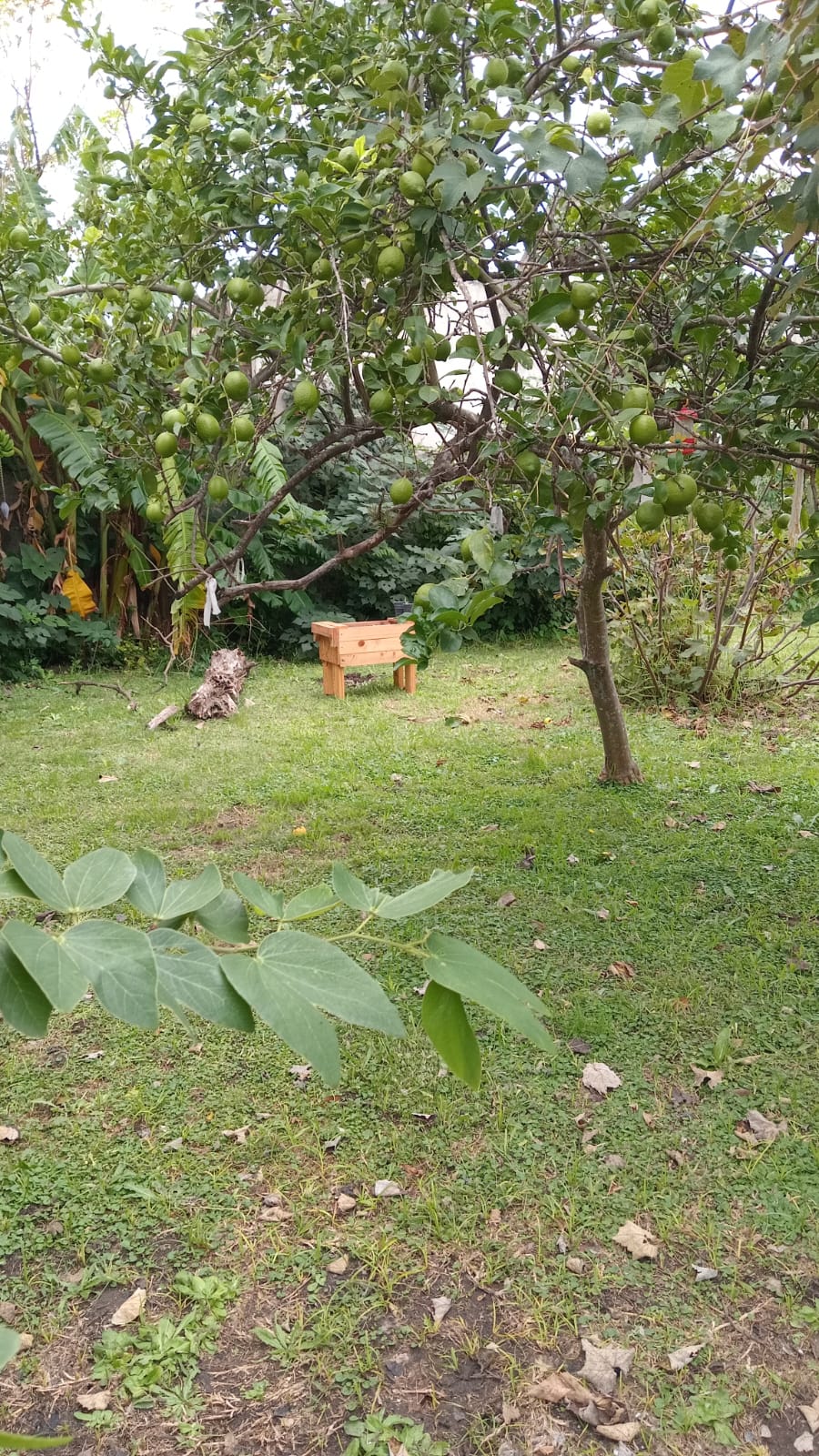 IMG-20250409-WA0184