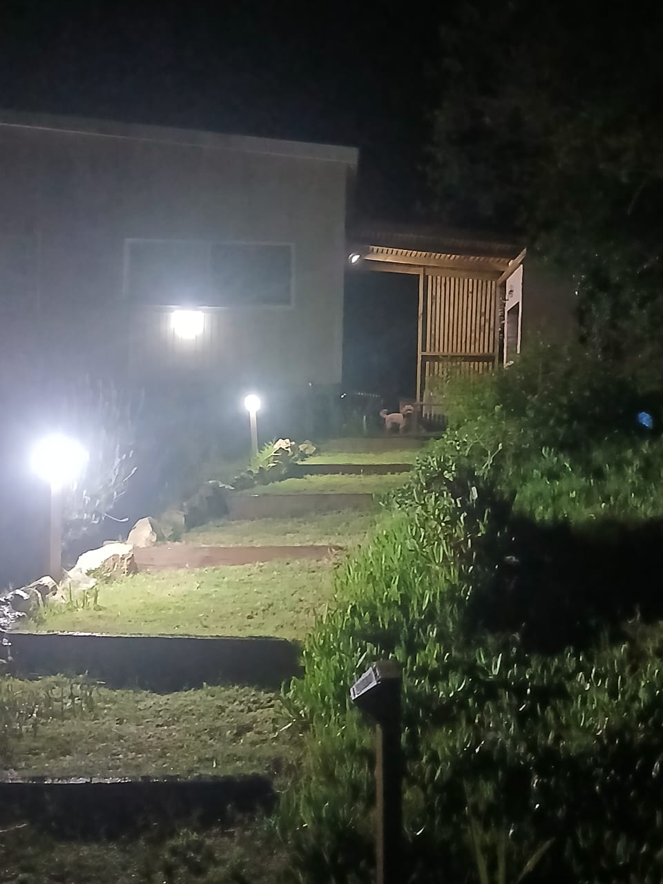 WhatsApp Image 2026-02-08 at 09.26.18 (3)