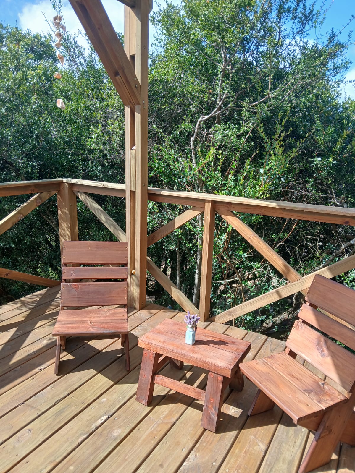 WhatsApp Image 2026-02-08 at 09.26.18