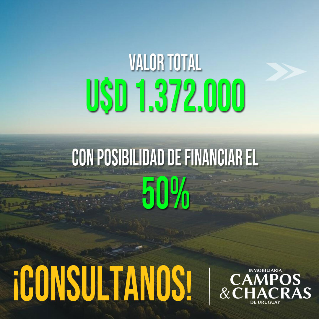 392-Has-PAYSANDÚ_03