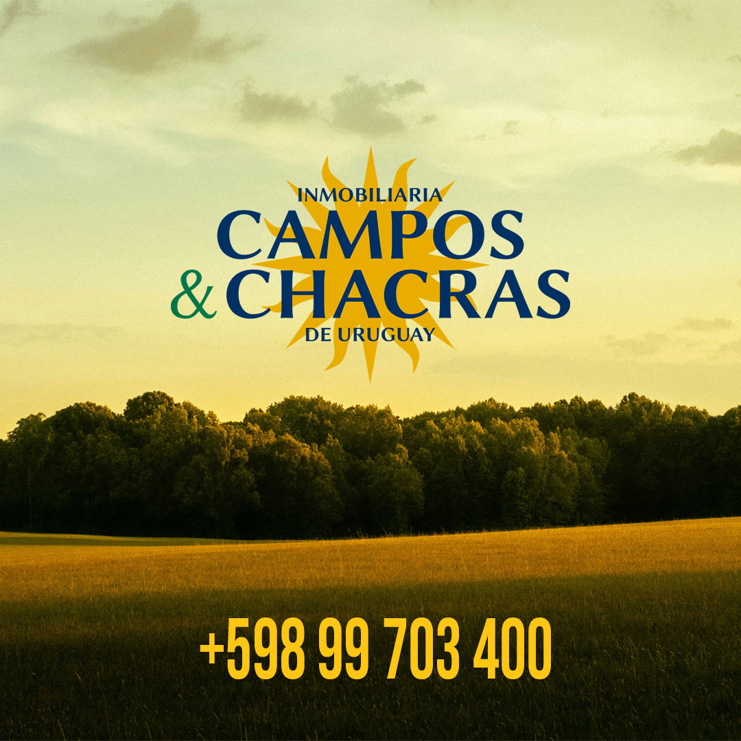 392-Has-PAYSANDÚ_04